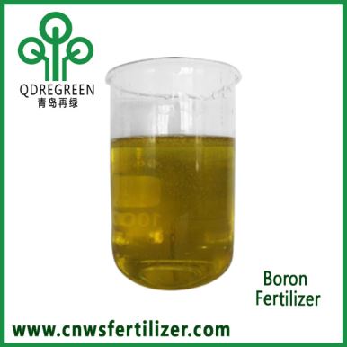 Fertilizante en solución de boro soluble orgánico concentrado y quelado